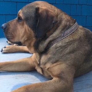 Meet your Posher, Teresa